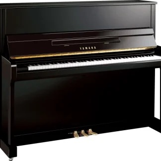 YAMAHA B3 PE ACUSTICO