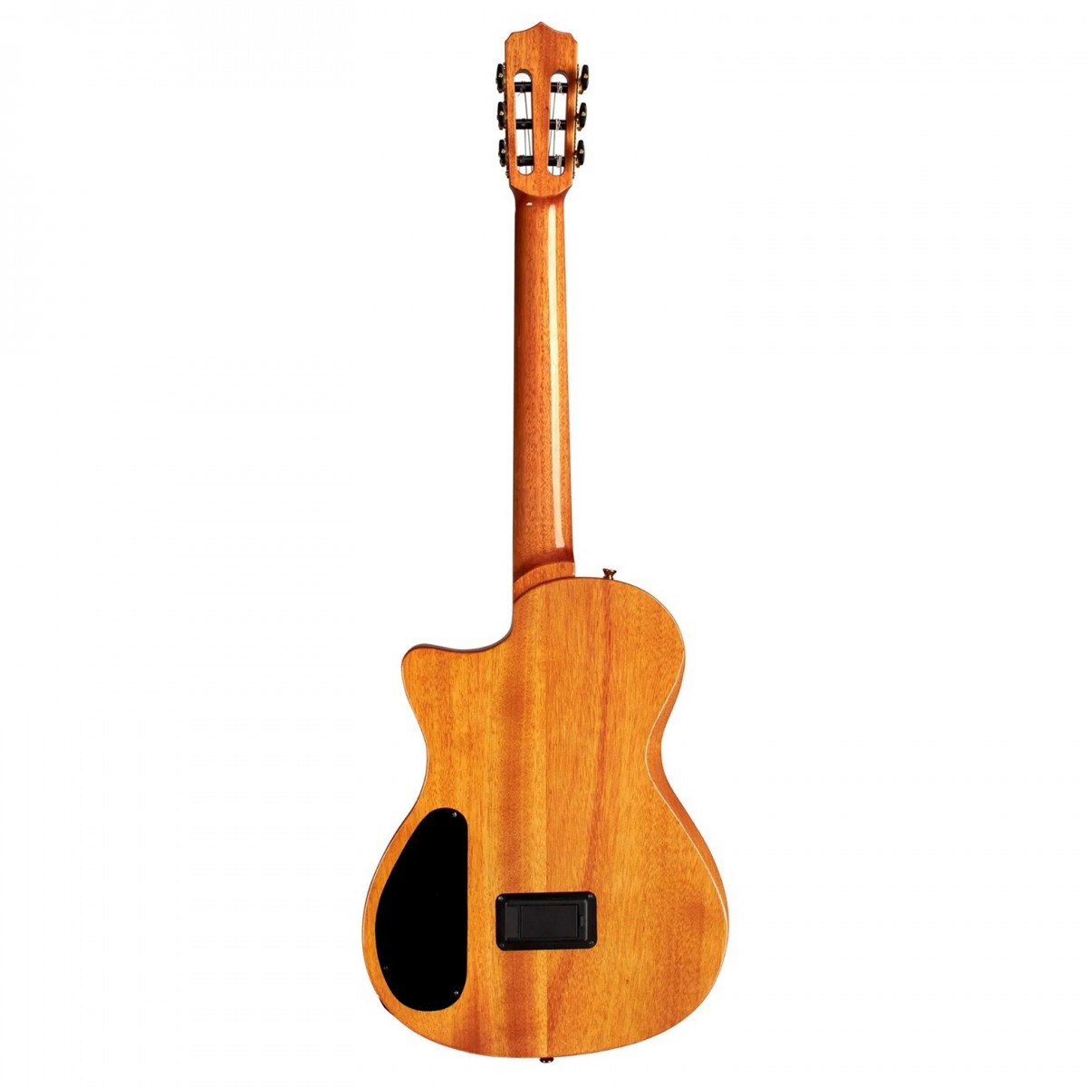 Cordoba Stage Nylon Guitar, Natural Amber con borsa - immagine 3